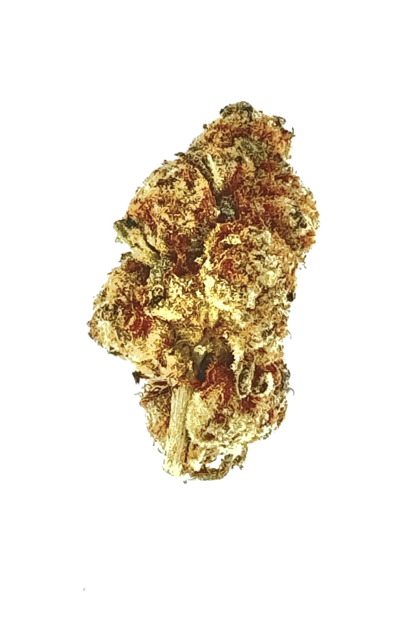 Astro Status (Ounce) 1 Astro Status (Ounce)