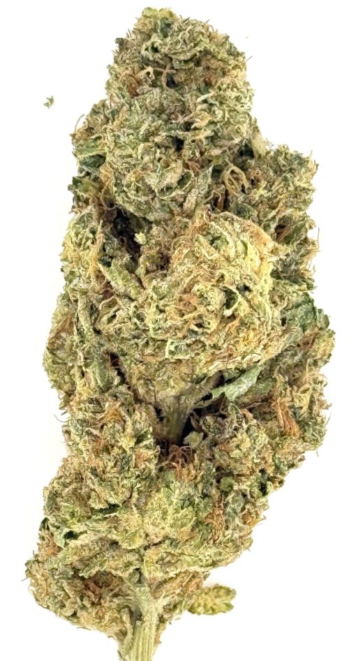 Purple Kush 1 Purple Kush