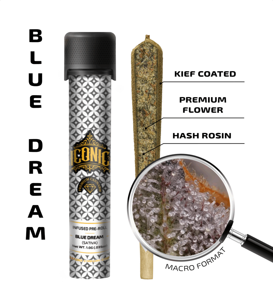 Blue Dream – 1g Infused Preroll | Iconic