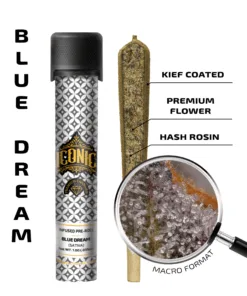 Blue Dream – 1g Infused Preroll | Iconic