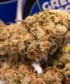 Rainbow Guava | Green Bean