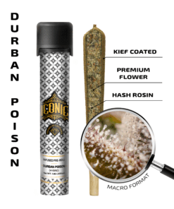 Durban Poison – 1G Infused Preroll | Iconic