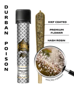 Durban Poison – 1g Infused Preroll | Iconic
