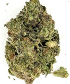 Cherry Dosidos (Ounce)