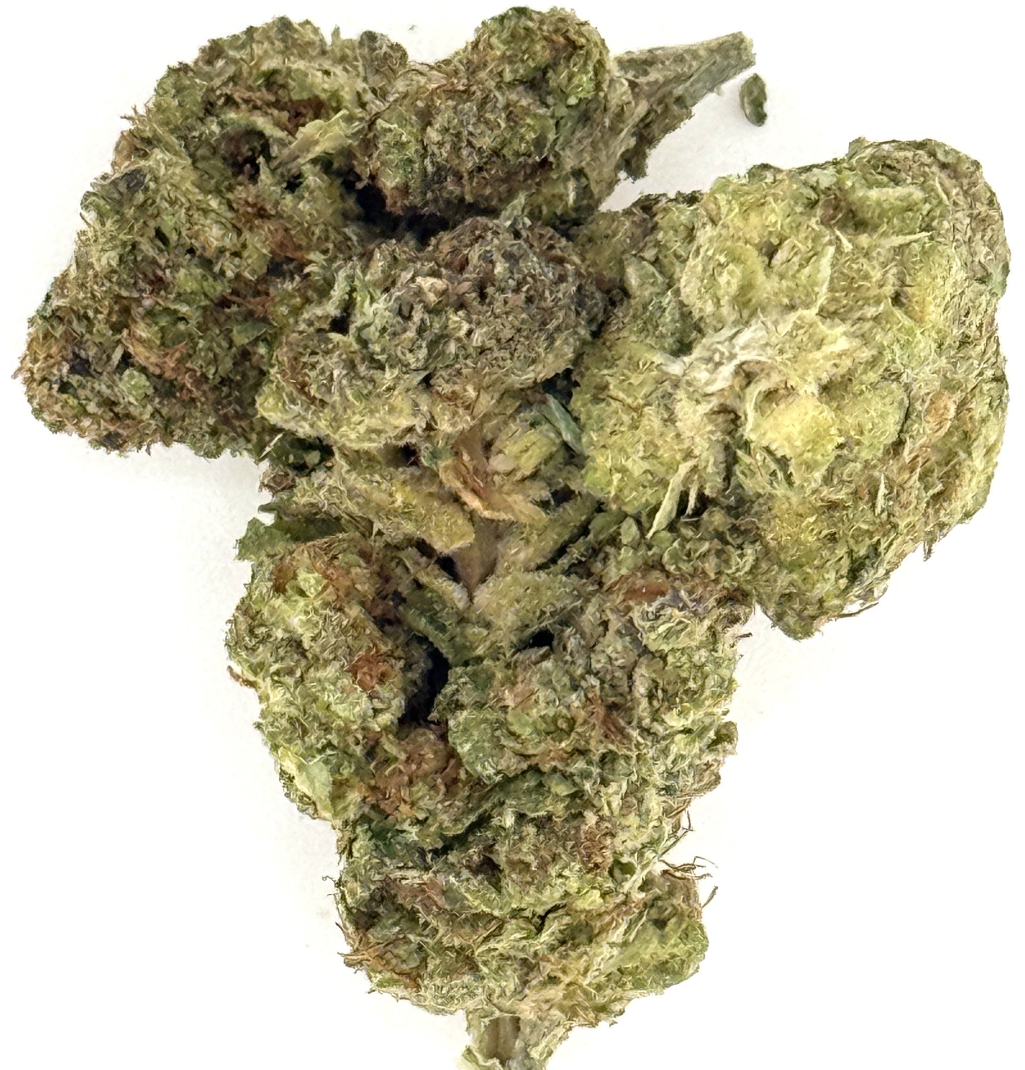 Kush Mints 1 Kush Mints