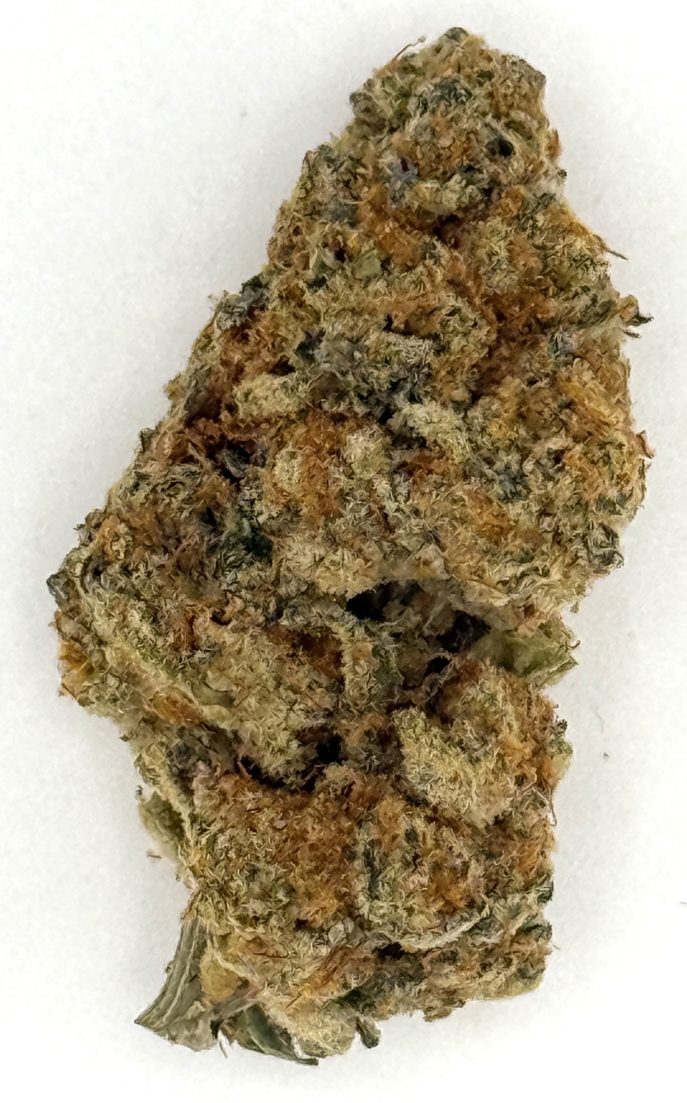 Astro Status (Ounce) 1 Astro Status (Ounce)