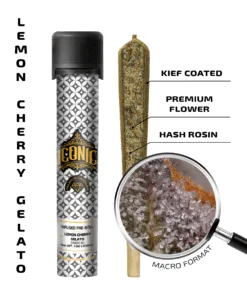 Lemon Cherry Gelato – 1g Infused Preroll | Iconic