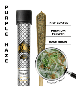 Purple Haze – 1G Infused Preroll | Iconic