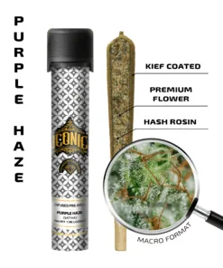 Purple Haze – 1g Infused Preroll | Iconic