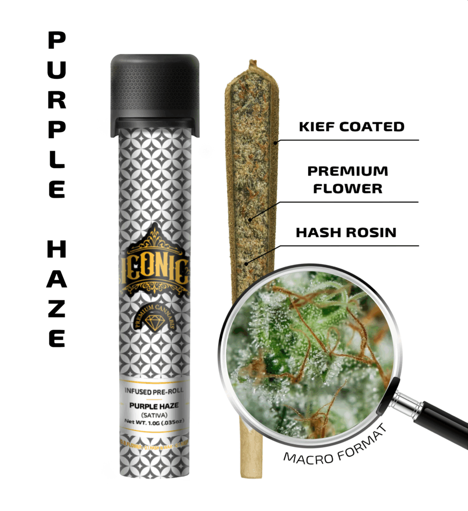 Purple Haze – 1g Infused Preroll | Iconic