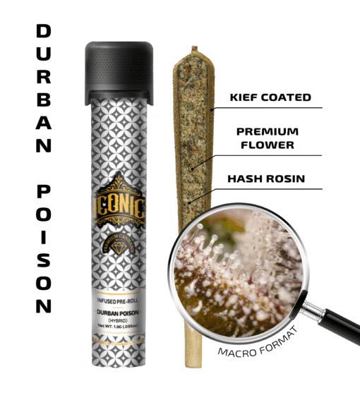 Durban Poison – 1G Infused Preroll | Iconic