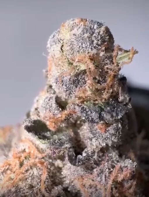 Candy Fumez | Green Bean