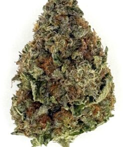Blue Gelato 41 (Ounce)