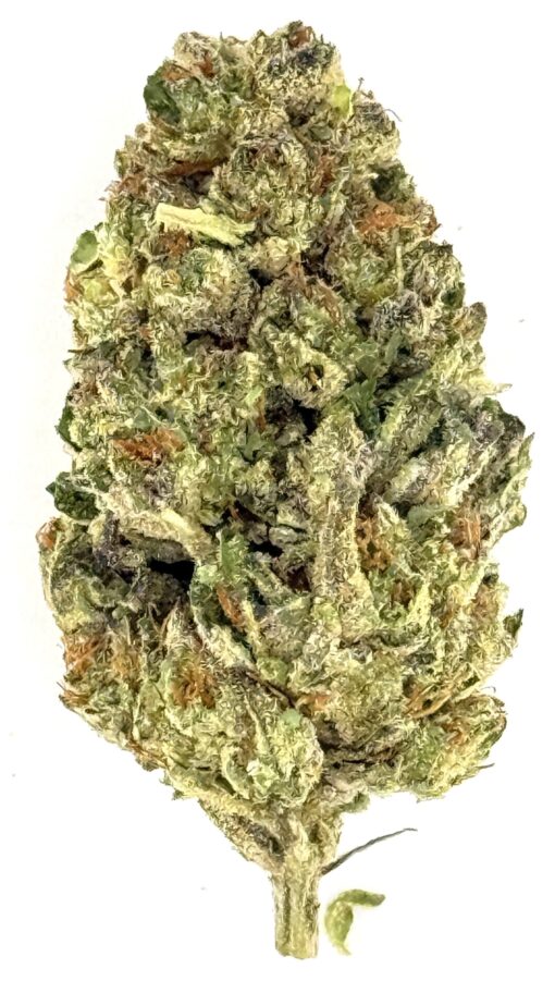 Gorilla Grapes