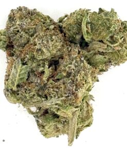 Lemon Cherry