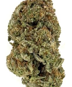 Sweet Baby Jane