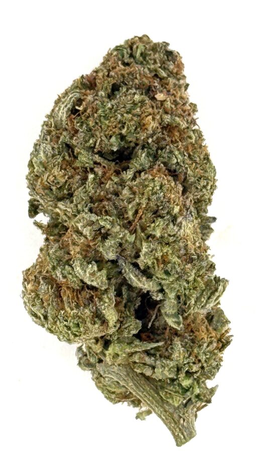 Sweet Baby Jane