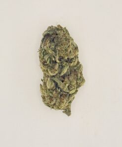 Violet Fog (Ounce)