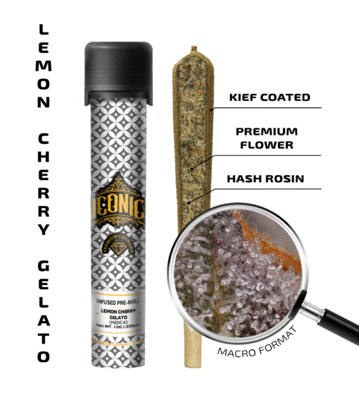 Lemon Cherry Gelato – 1G Infused Preroll | Iconic