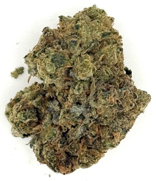 Blue Nerd Zushi (Ounce) 1 Blue Nerd Zushi (Ounce)