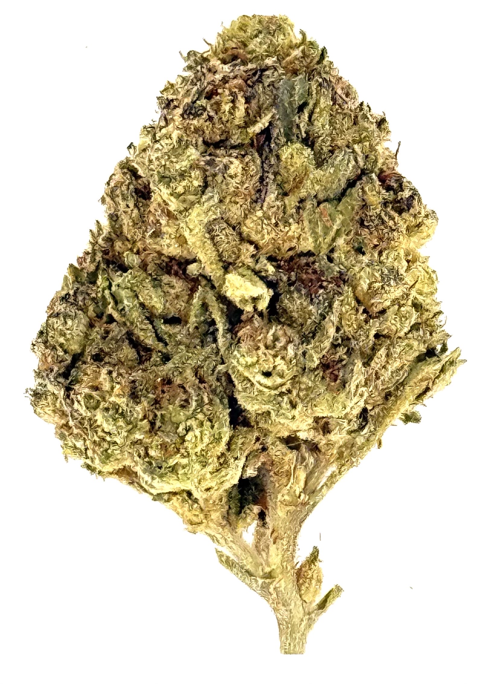 Lance Runtz (Ounce) 1 Lance Runtz (Ounce)