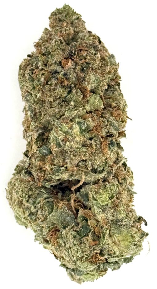 Cherry Zoap 1 Cherry Zoap