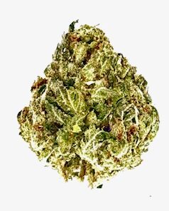 Lemon Cherry Gelato ( Ounce )