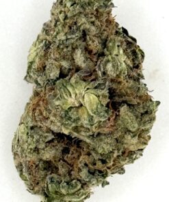 Purple Starfruit (Ounce)