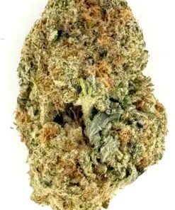 Jungle Cake (Ounce)