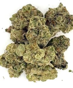 Sunset Runtz (Ounce)