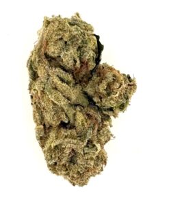 Runtz Buttons (Ounce)