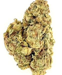 Rainbow Runtz (Ounce)