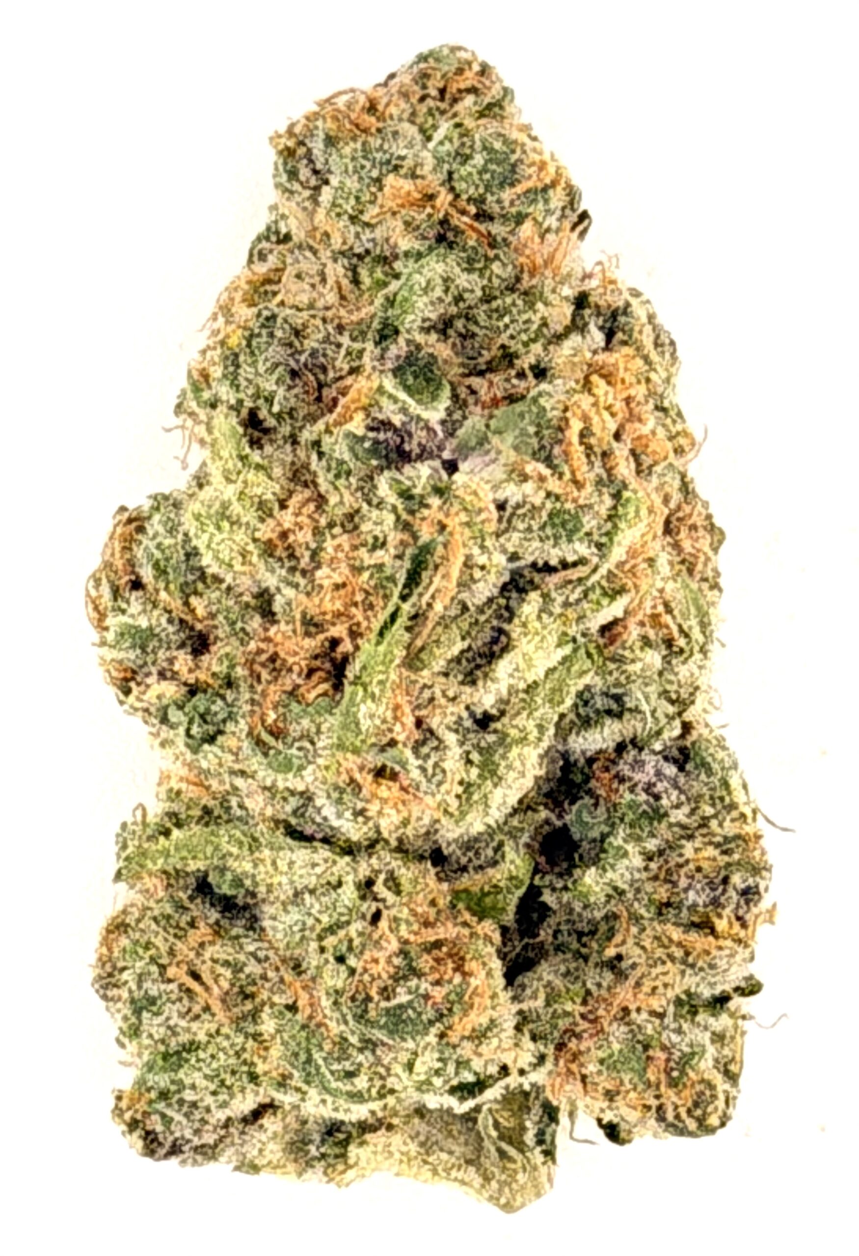 Blockberry (Ounce) 1 Blockberry (Ounce)