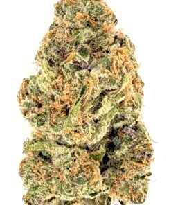 Blockberry MetroBud