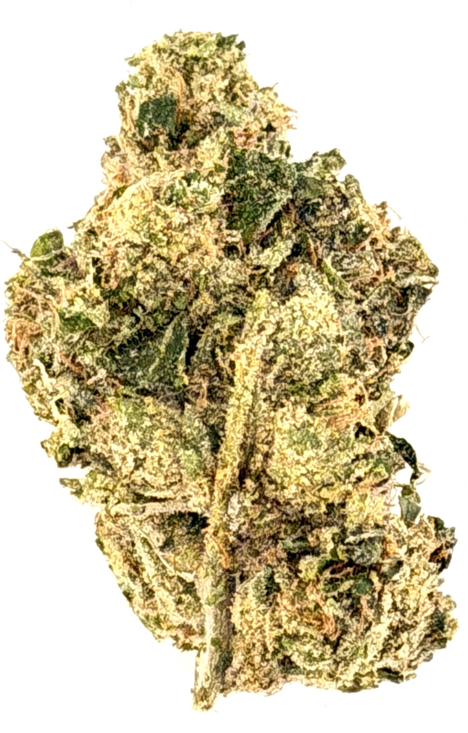 Lip Smackers (Ounce) 1 Lip Smackers (Ounce)