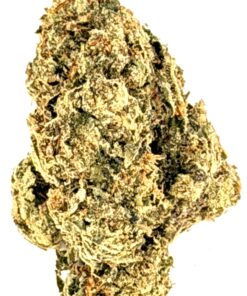 Biscotti Runtz (Ounce)