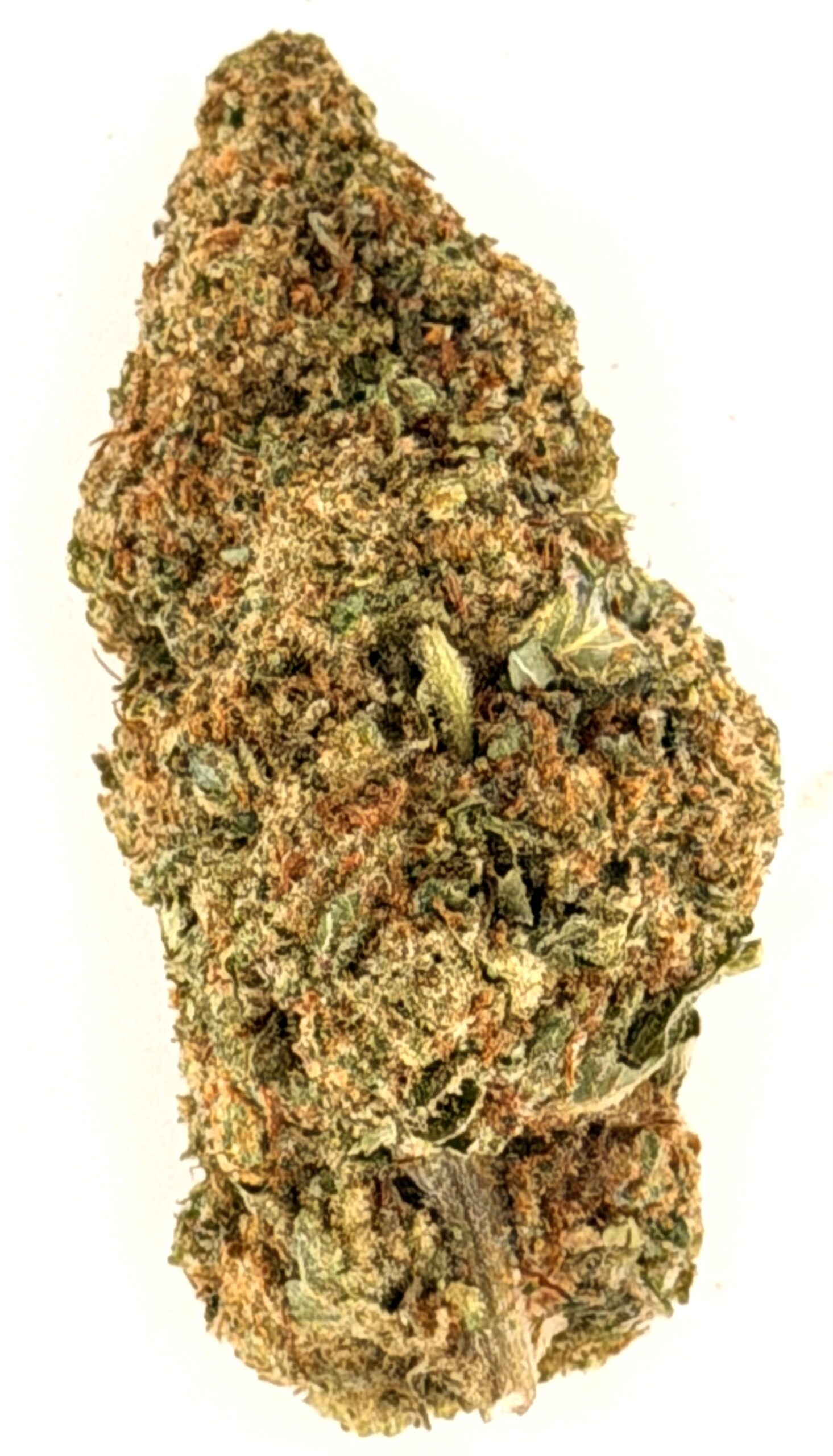 Illemonotti (Ounce) 1 Illemonotti (Ounce)