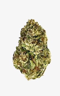 White Cherry 1 Close-up of cannabis bud on white