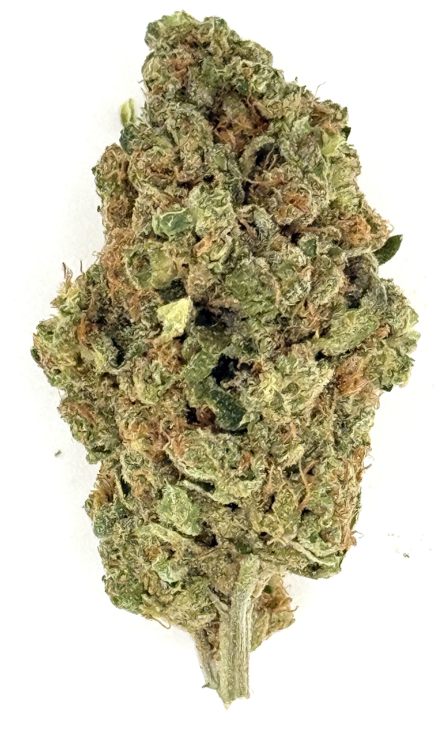 Gummy Drop 1 Gummy Drop