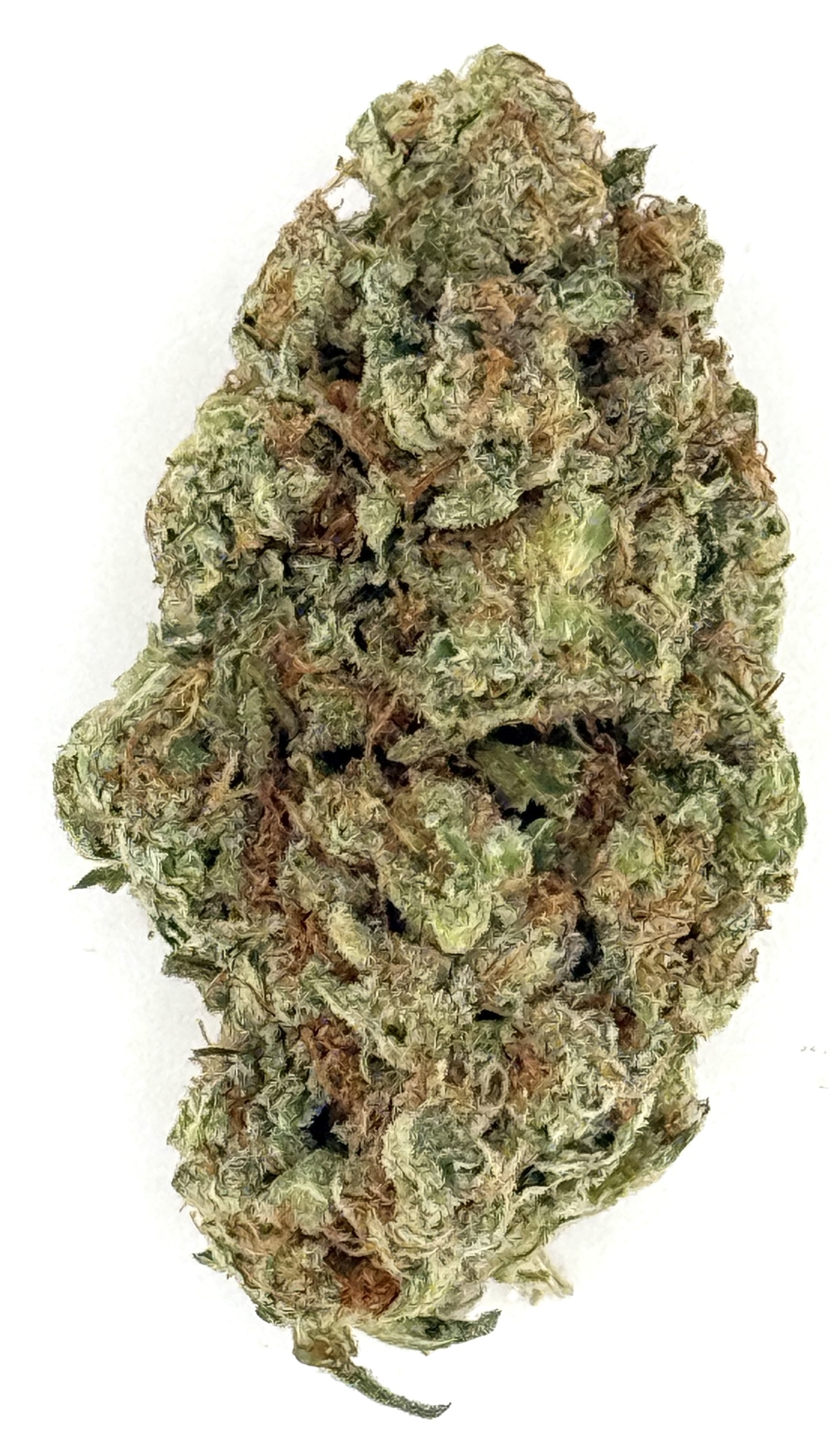 Sunset Sherbet 1 Sunset Sherbet