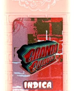 Grandi Guava – 2g Live Resin Disposable Vape | Puff LA