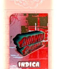 Grandi Guava – 2g Live Resin Disposable Vape | Puff LA