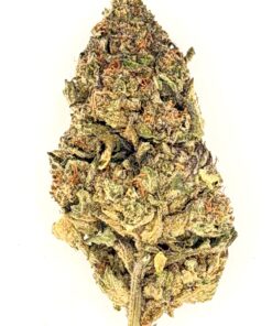 Ice Cream Cake (Ounce)