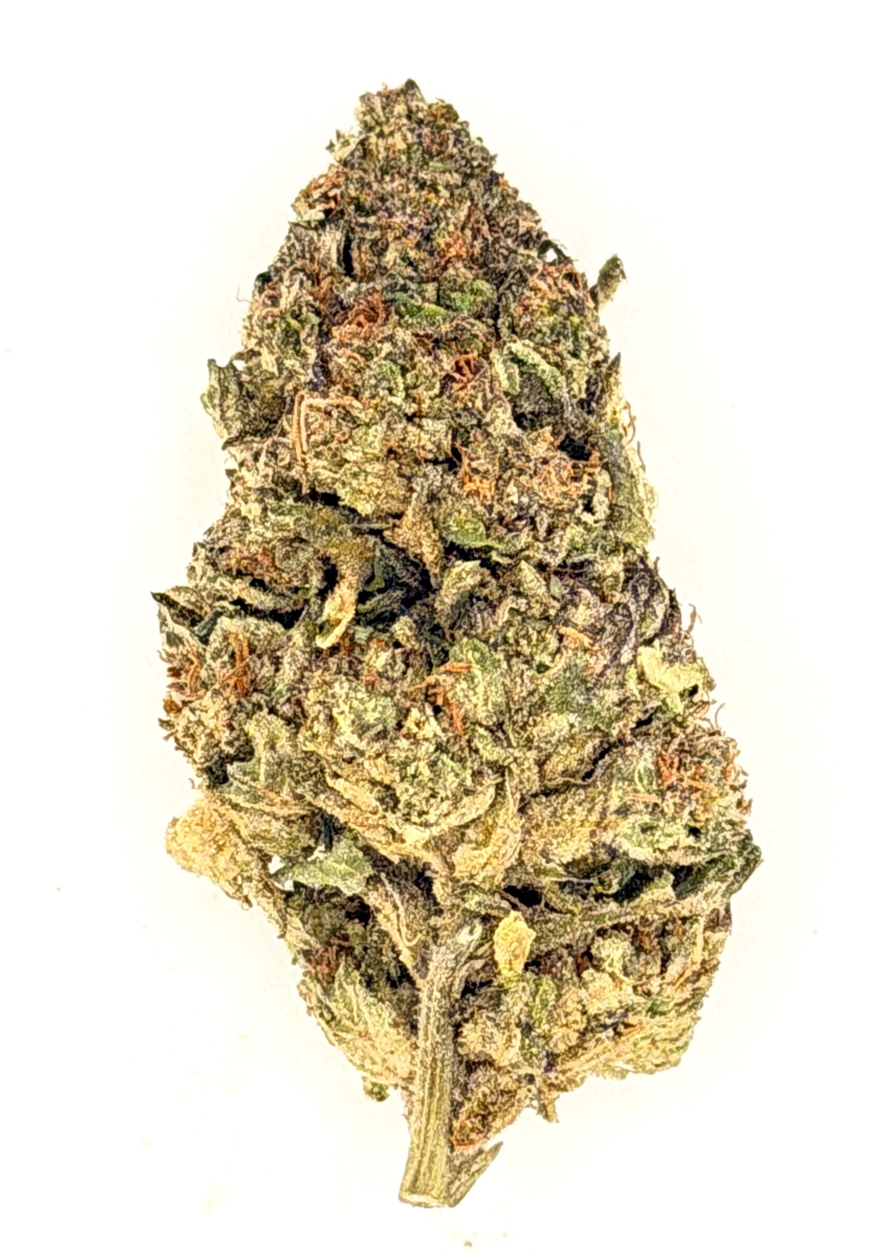 Ice Cream Cake (Ounce) 1 Ice Cream Cake (Ounce)