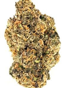 Blizzard of Oz (Ounce)