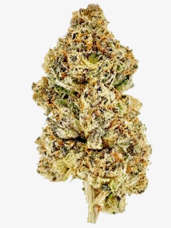 Strawberry Gary (Ounce) 1 Strawberry Gary (Ounce)