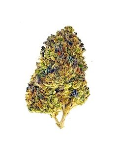 Lemon Cherry Sherbet