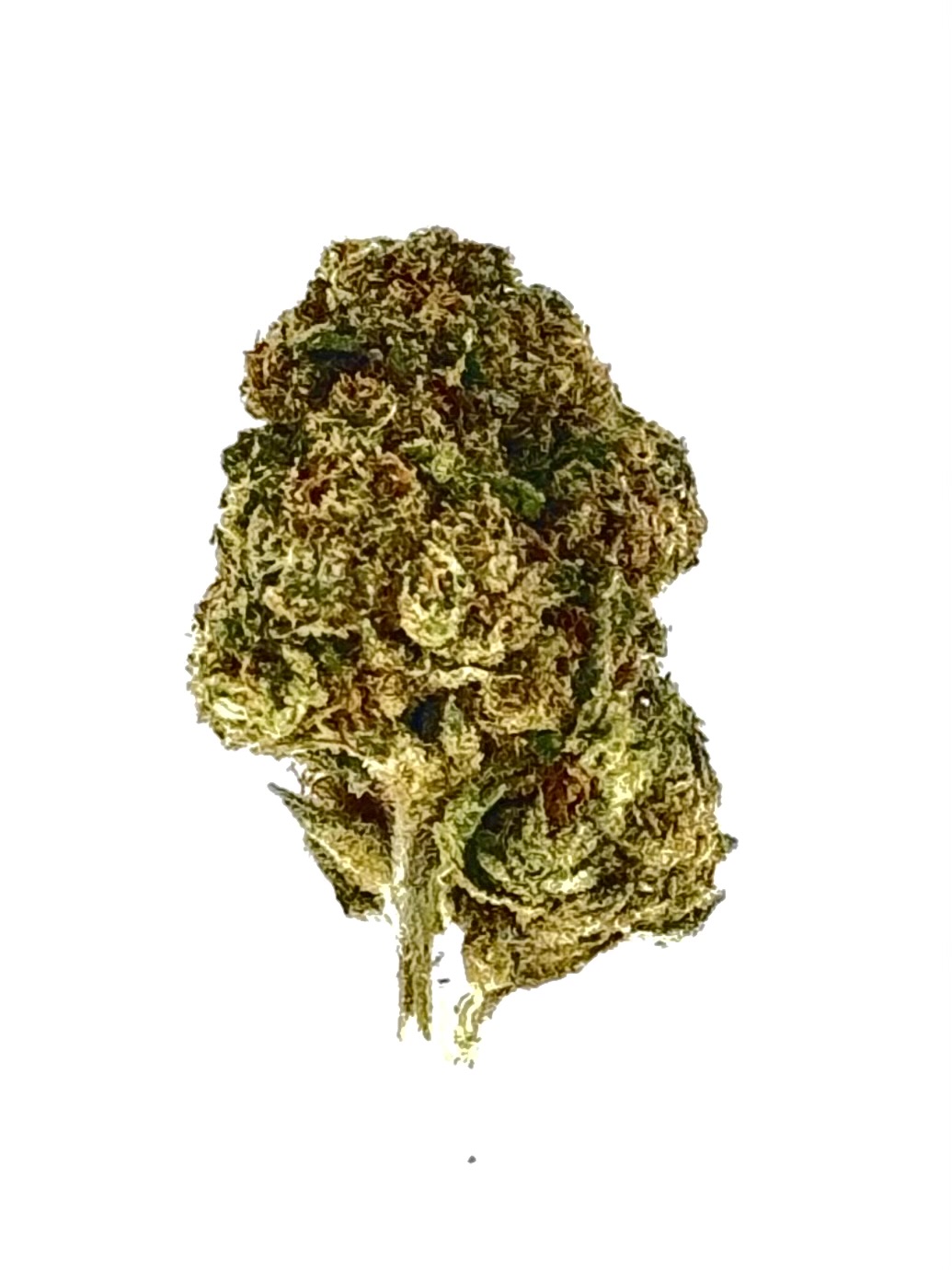 Frosted Runtz 1 Frosted Runtz