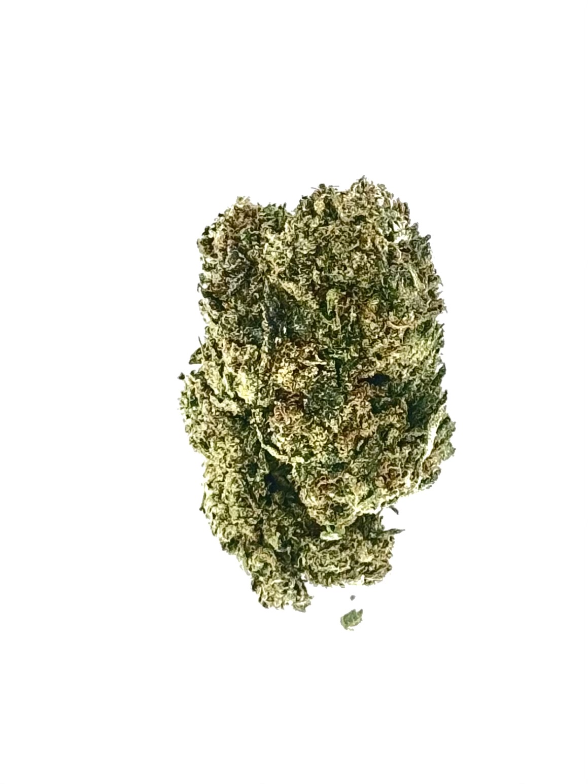 Hollywood (Ounce) 1 Hollywood (Ounce)