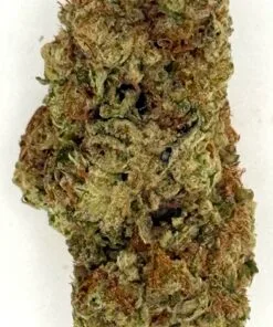 Close-up of a cannabis bud, showcasing its vibrant green and brown hues, rich trichomes, and unique texture.